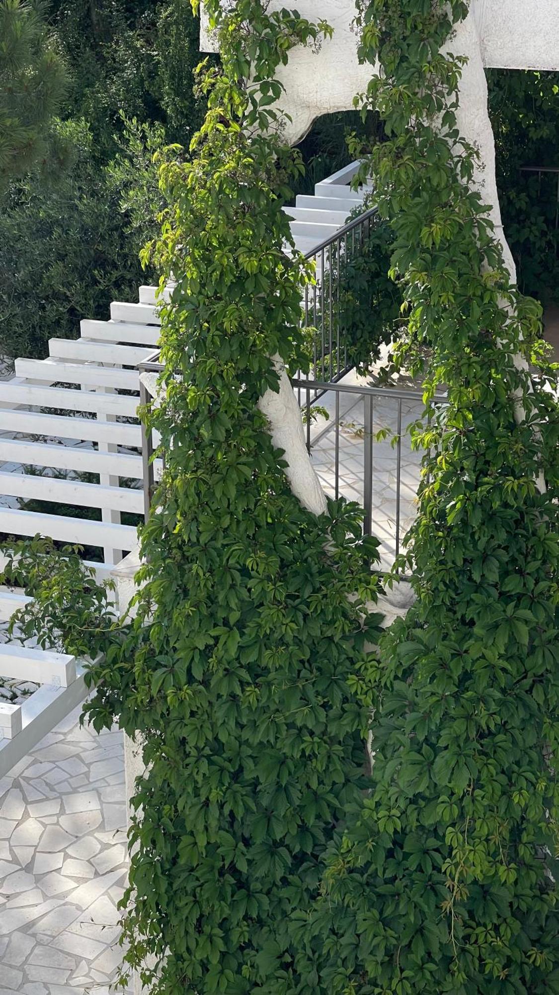 Przno Apartment Most Oliva Vrijesno Eksteriør bilde